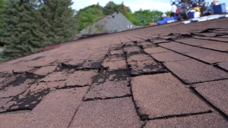 Best Roof Moss and Algae Removal  in Joplin, MO