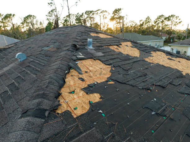 Best Gutter Installation and Repair  in Joplin, MO