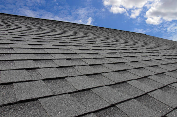 Best Roof Maintenance and Cleaning  in Joplin, MO